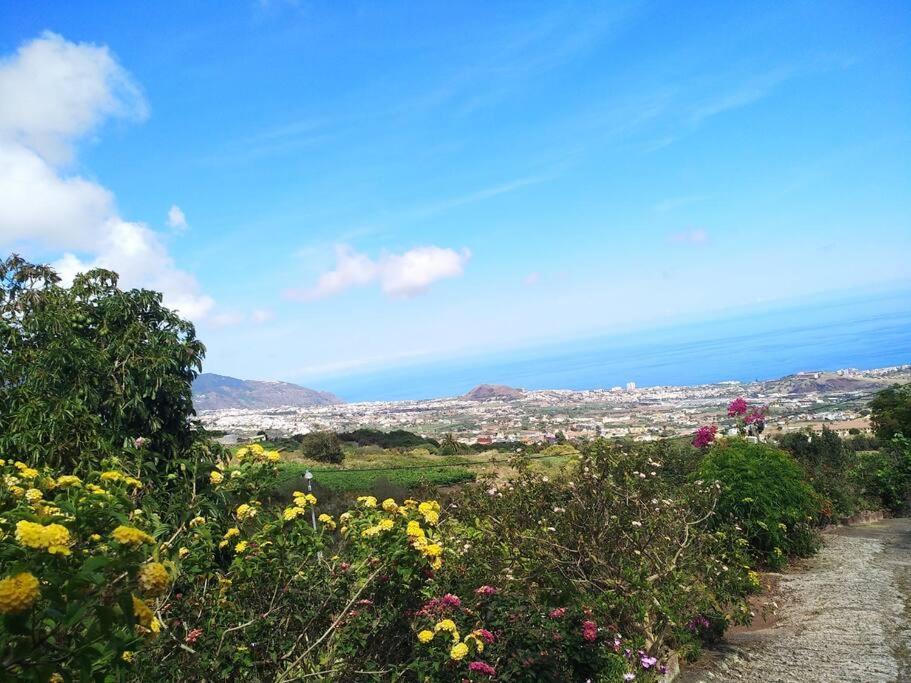 Apartment With Huge Deck Nestled In Marvelous Gardens - Nidos ラ・オロタバ エクステリア 写真