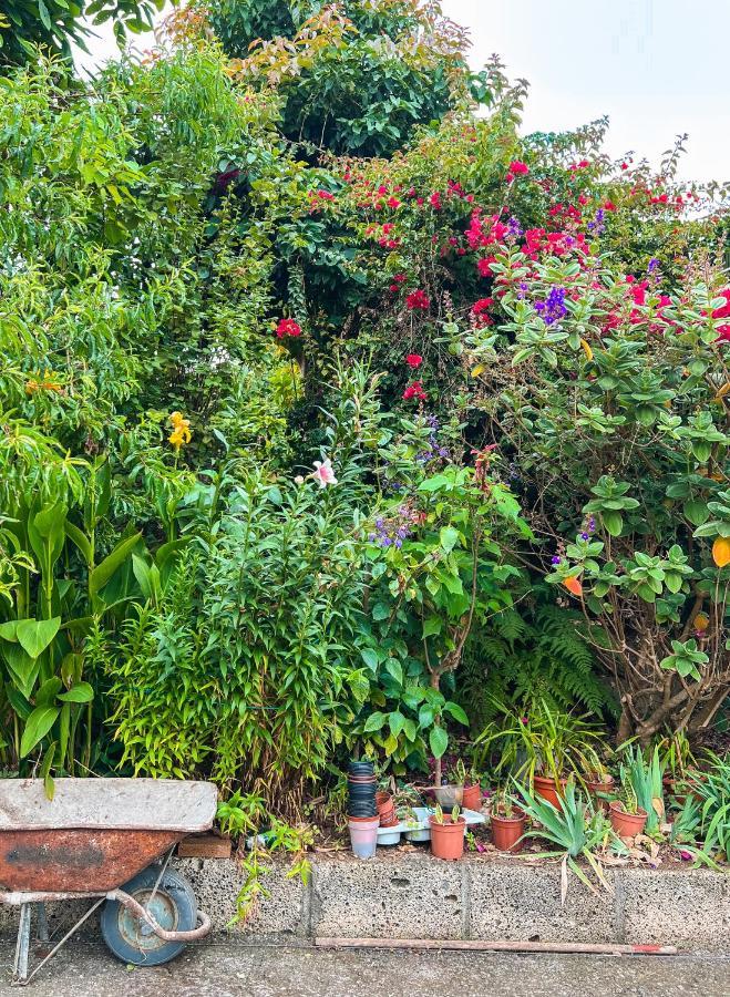 Apartment With Huge Deck Nestled In Marvelous Gardens - Nidos ラ・オロタバ エクステリア 写真