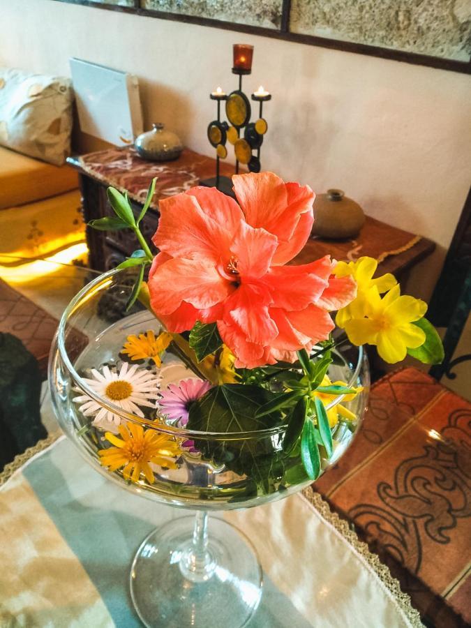 Apartment With Huge Deck Nestled In Marvelous Gardens - Nidos ラ・オロタバ エクステリア 写真
