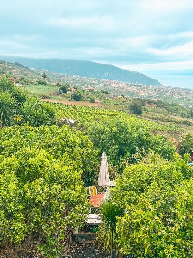Apartment With Huge Deck Nestled In Marvelous Gardens - Nidos ラ・オロタバ エクステリア 写真