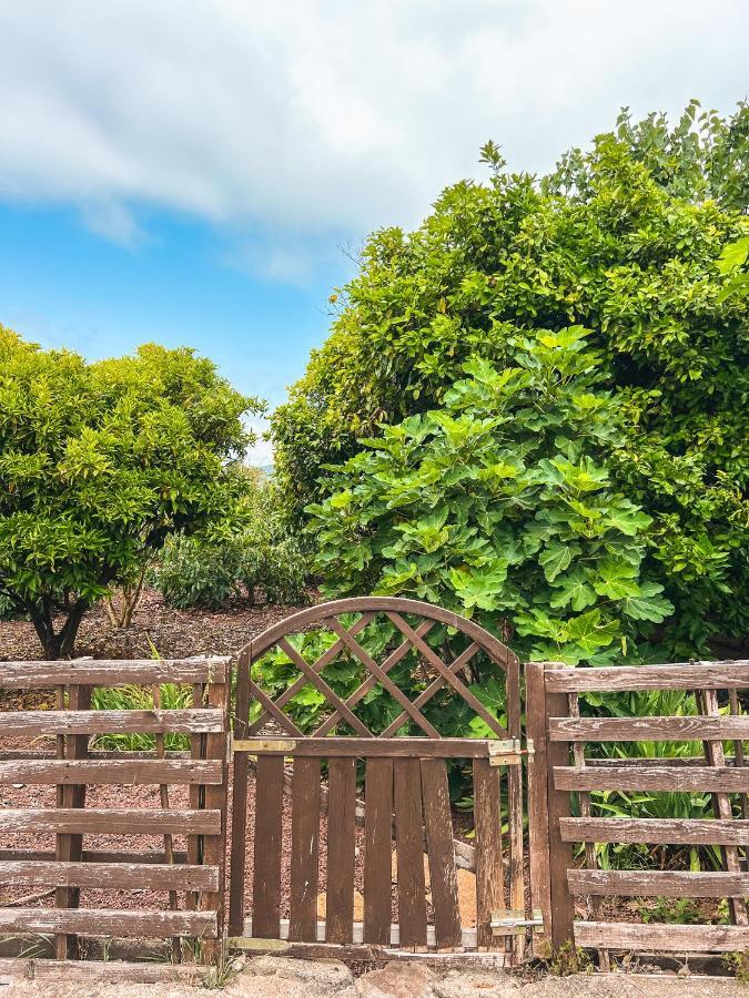 Apartment With Huge Deck Nestled In Marvelous Gardens - Nidos ラ・オロタバ エクステリア 写真